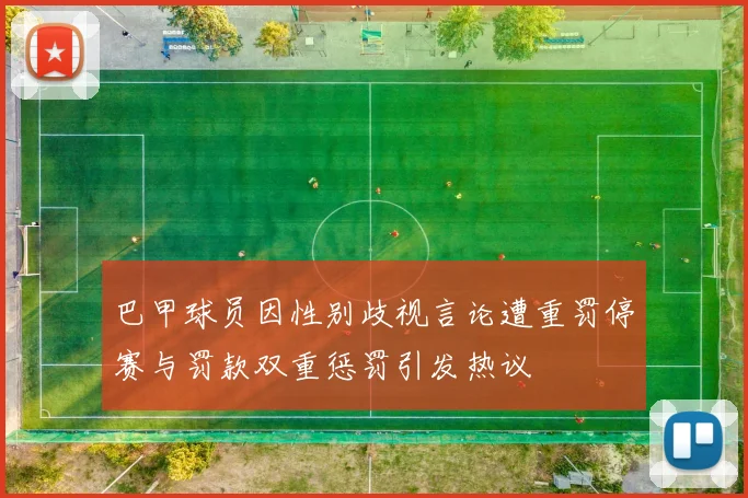巴甲球员因性别歧视言论遭重罚停赛与罚款双重惩罚引发热议
