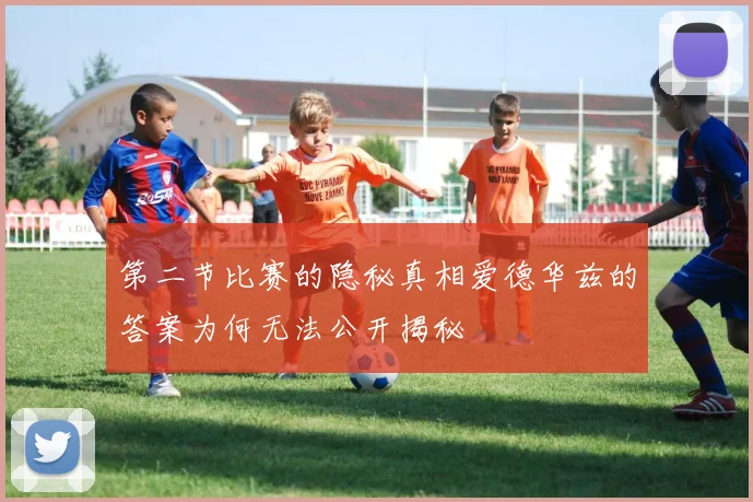 第二节比赛的隐秘真相爱德华兹的答案为何无法公开揭秘