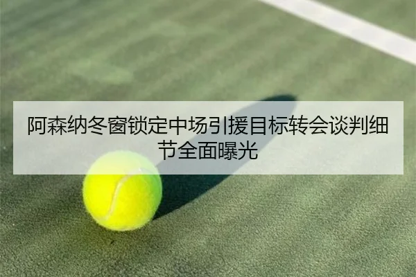 阿森纳冬窗锁定中场引援目标转会谈判细节全面曝光（TIANBOSPORTS）